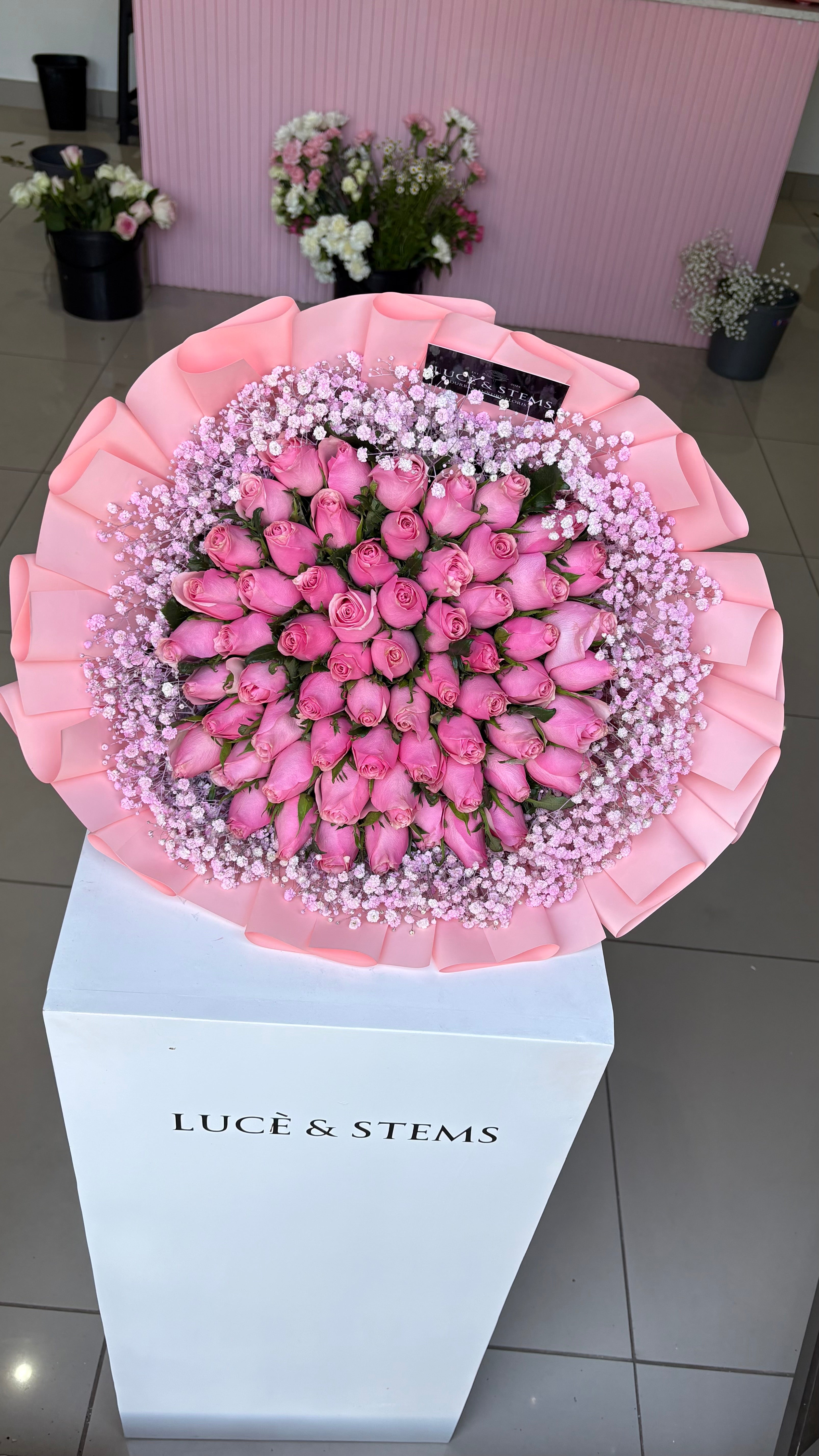 Pink roses with pink baby’s breath