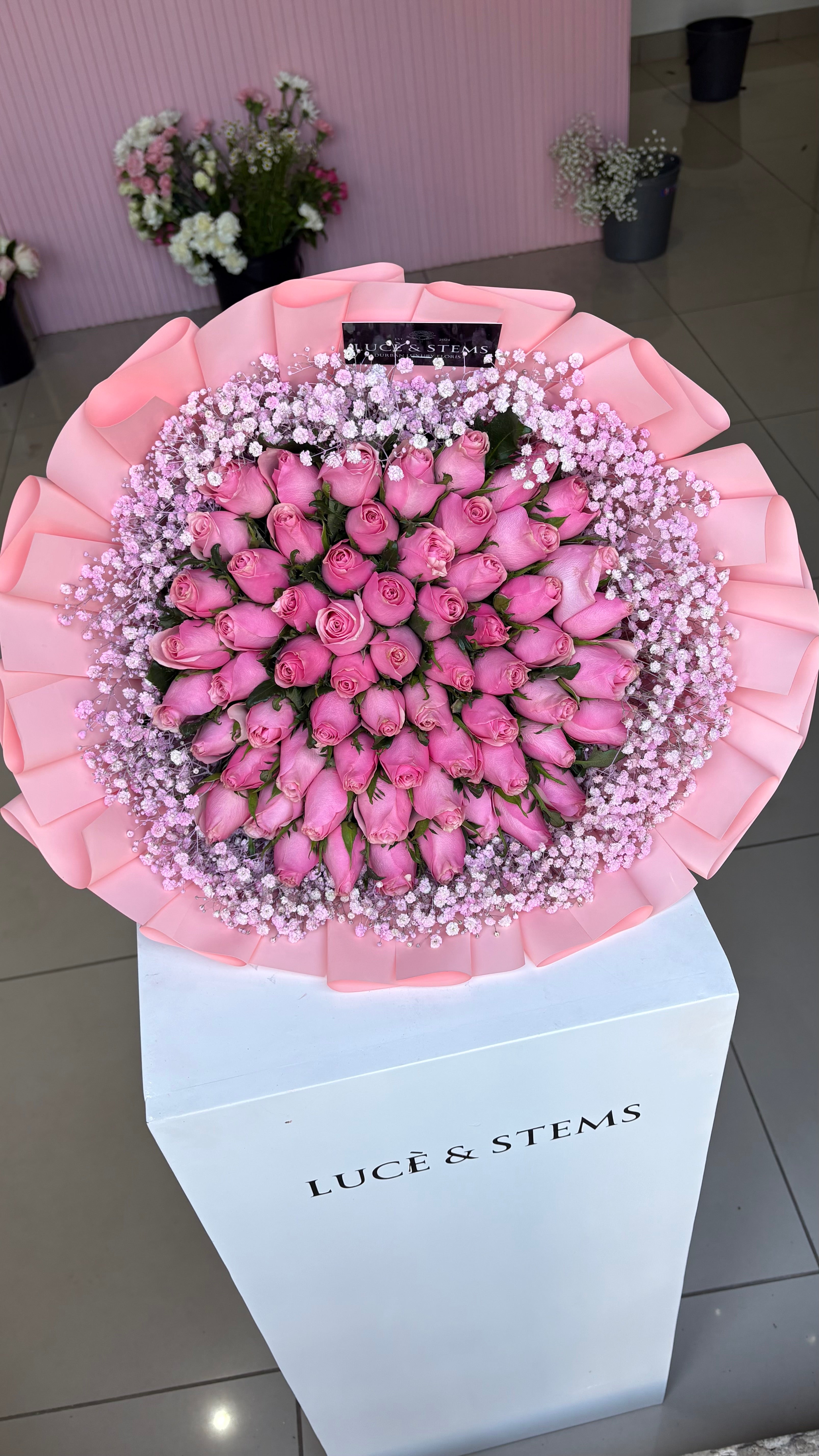 Pink roses with pink baby’s breath